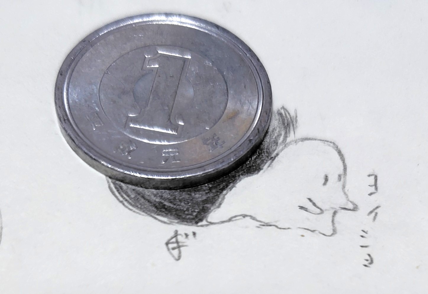 1円サイズのおばけ